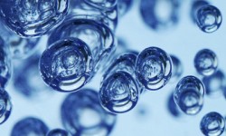 X International Prize Marcial Campos